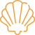 035 shell 1.png