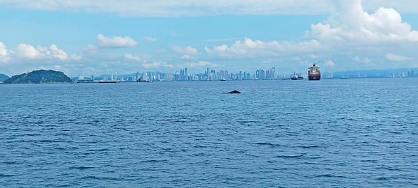 IMG_20240918_093138
